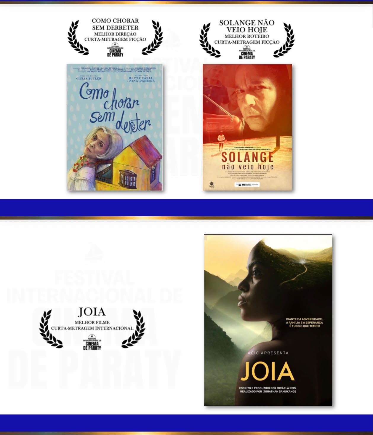 Festival Internacional de Cinema de Paraty